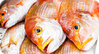 鮮魚