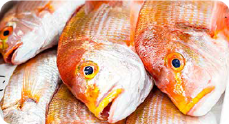 鮮魚